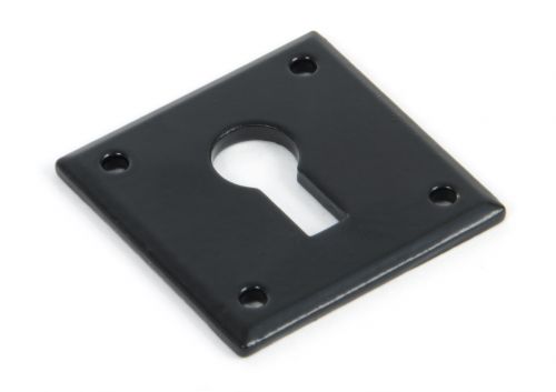 Click Here To Enlarge This Photo Of 83657 From The Anvil Black Avon Escutcheons
