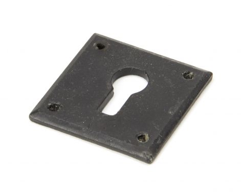 Click Here To Enlarge This Photo Of 91487 From The Anvil External Beeswax Avon Escutcheons
