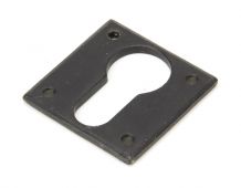 91488 From The Anvil External Beeswax Avon Euro Escutcheons