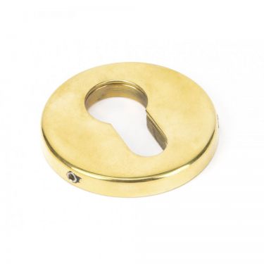 Click Here To Enlarge This Photo Of 45473 From the Anvil Aged Brass 52mm Regency Concealed Escutcheon