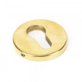 45473 From the Anvil Aged Brass 52mm Regency Concealed Escutcheon