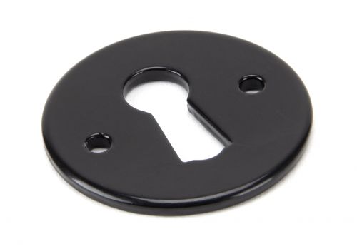Click Here To Enlarge This Photo Of 92072 From the Anvil Black Regency Escutcheon