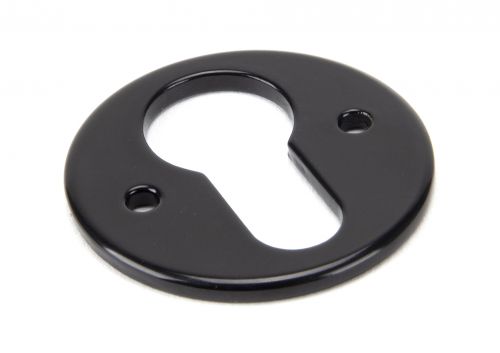 Click Here To Enlarge This Photo Of 92074 From the Anvil Black Regency Euro Escutcheon