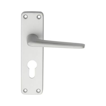 Click Here To Enlarge This Photo Of SAA21Y - Carlisle Brass Eurospec Lever on Backplate Euro Profile Satin Anodised Aluminium