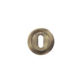 ZPZ002FB - Zoo Hardware Stanza Standard Profile Escutcheon (50mm dia) Florentine Bronze (Designer Range)
