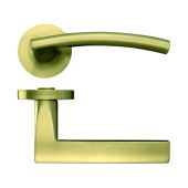 ZPZ080-FSB - Zoo Hardware Stanza 'Amalfi' Lever Handles on Round Screw on Rose - Favo Satin Brass (Designer Range)