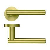 ZPZ090-FSB - Zoo Hardware Stanza 'Lucca' Lever Handles on Round Screw on Rose - Favo Satin Brass (Designer Range)
