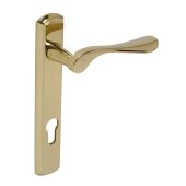 BLU Performance Regent Door Handle on Backplate, 92mm Centres, LH G316 Stainless Steel, PVD Polished Brass (REG090B-LH-PPB)