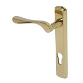 BLU Performance Regent Door Handle on Backplate, 92mm Centres, RH G316 Stainless Steel, PVD Polished Brass (REG090B-RH-PPB)