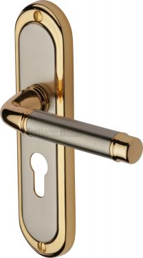 Click Here To Enlarge This Photo Of SAT1048-JP Heritage Brass Door Handle For Euro Profile Plate Saturn Design Jupiter Finish