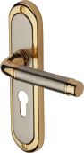 SAT1048-JP Heritage Brass Door Handle For Euro Profile Plate Saturn Design Jupiter Finish