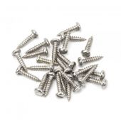 From the Anvil Stainless Steel Round Head Slotted Screws (25)