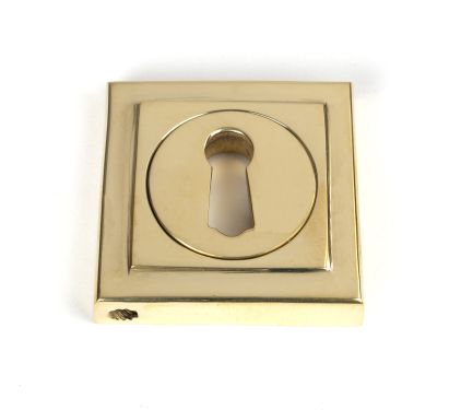 Click Here To Enlarge This Photo Of 50749 From the Anvil Polished Brass Round Escutcheon (Square)