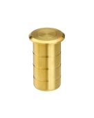 ZAS14-PVDSB - Zoo Hardware Dust Socket for Flush Bolts (Concrete) 20mm dia. x 25mm PVD Satin Brass