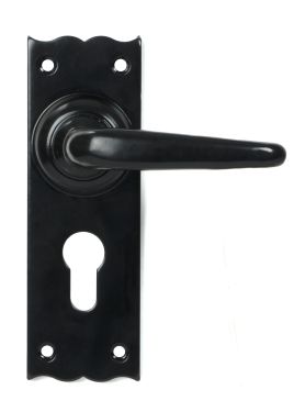 Click Here To Enlarge This Photo Of 46570 From the Anvil Black Oak Lever Euro Lock Set