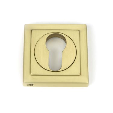 Click Here To Enlarge This Photo Of 50879 From the Anvil Satin Brass Round Euro Escutcheon (Square)