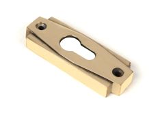 51198 From the Anvil Aged Brass Art Deco Euro Escutcheon (Set)