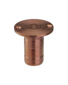 ZAS14A-PVDBZ - Zoo Hardware Dust Socket for Flush Bolts (Wood) 20mm dia. x 38mm PVD Bronze