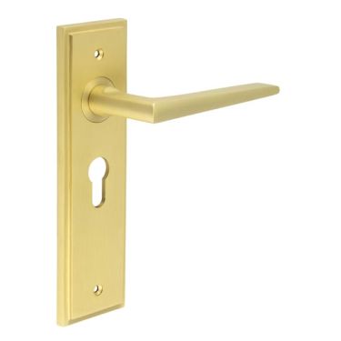 Click Here To Enlarge This Photo Of BUR10KIT245 Frelan Hardware Burlington Mayfair Door Handles on 47.5mm Euro Backplate Satin Brass
