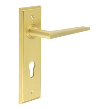 Click Here To Enlarge This Photo Of BUR10KIT246 Frelan Hardware Burlington Mayfair Door Handles on 72mm Din Euro Backplate Satin Brass