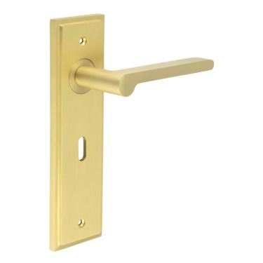 Click Here To Enlarge This Photo Of BUR15KIT243 Frelan Hardware Burlington Fitzrovia Door Handles on 57mm Lock Backplate Satin Brass