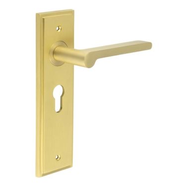 Click Here To Enlarge This Photo Of BUR15KIT245 Frelan Hardware Burlington Fitzrovia Door Handles on 47.5mm Euro Backplate Satin Brass