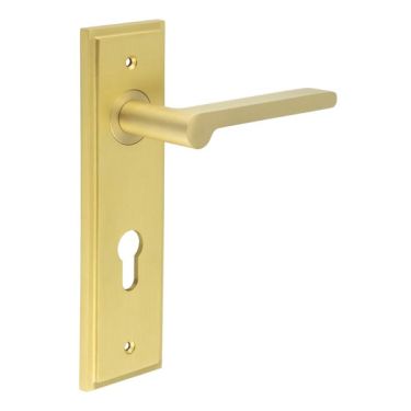 Click Here To Enlarge This Photo Of BUR15KIT246 Frelan Hardware Burlington Fitzrovia Door Handles on 72mm Din Euro Backplate Satin Brass