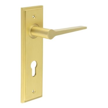 Click Here To Enlarge This Photo Of BUR20KIT245 Frelan Hardware Burlington Knightbridge Door Handles on 47.5mm Euro Backplate Satin Brass