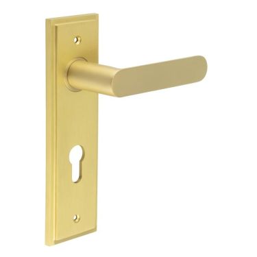 Click Here To Enlarge This Photo Of BUR25KIT246 Frelan Hardware Burlington Kensington Door Handles on 72mm Din Euro Backplate Satin Brass