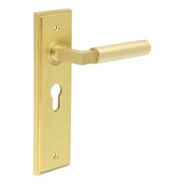 Click Here To Enlarge This Photo Of BUR30KIT245 Frelan Hardware Burlington Westminster Door Handles on 47.5mm Euro Backplate Satin Brass