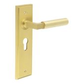 BUR30KIT245 Frelan Hardware Burlington Westminster Door Handles on 47.5mm Euro Backplate Satin Brass