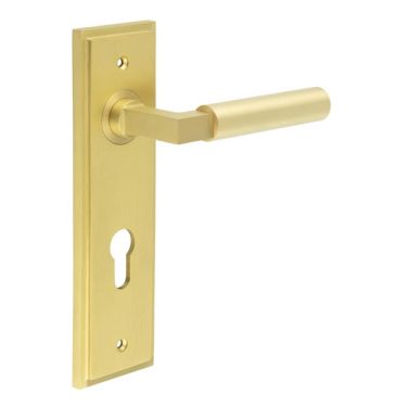 Click Here To Enlarge This Photo Of BUR30KIT246 Frelan Hardware Burlington Westminster Door Handles on 72mm Din Euro Backplate Satin Brass