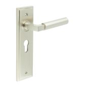 BUR30KIT323 Frelan Hardware Burlington Westminster Door Handles on 47.5mm Euro Backplate Satin Nickel