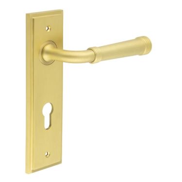 Click Here To Enlarge This Photo Of BUR35KIT246 Frelan Hardware Burlington Highgate Door Handles on 72mm Din Euro Backplate Satin Brass