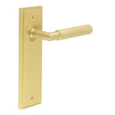 Click Here To Enlarge This Photo Of BUR40KIT242 Frelan Hardware Burlington Piccadilly Door Handles on Latch Backplate Satin Brass