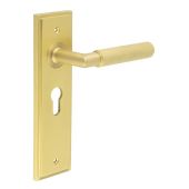 BUR40KIT245 Frelan Hardware Burlington Piccadilly Door Handles on 47.5mm Euro Backplate Satin Brass
