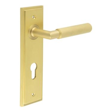 Click Here To Enlarge This Photo Of BUR40KIT246 Frelan Hardware Burlington Piccadilly Door Handles on 72mm Din Euro Backplate Satin Brass