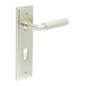 BUR40KIT324 Frelan Hardware Burlington Piccadilly Door Handles on 72mm Din Euro Backplate Satin Nickel