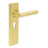 BUR45KIT245 Frelan Hardware Burlington Richmond Door Handles on 47.5mm Euro Backplate Satin Brass