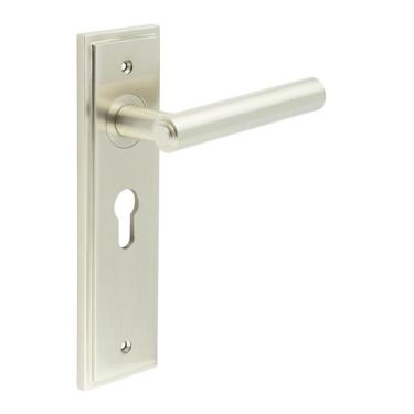 Click Here To Enlarge This Photo Of BUR45KIT323 Frelan Hardware Burlington Richmond Door Handles on 47.5mm Euro Backplate Satin Nickel