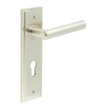Click Here To Enlarge This Photo Of BUR45KIT324 Frelan Hardware Burlington Richmond Door Handles on 72mm Din Euro Backplate Satin Nickel