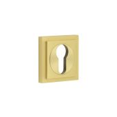 BUR-61SB-173SB Frelan Hardware Burlington Euro Profile Escutcheon on Square Stepped Rose Satin Brass