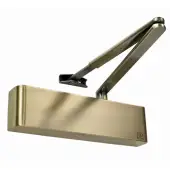 TS.5204BC.SRFB.ABAB - Rutland Size 2-4 Overhead Door Closer with Backcheck - Antique Brass