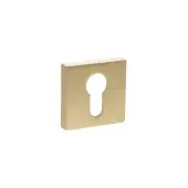 Atlantic - S4ESCESSB STATUS Euro Escutcheons on S4 Square Rose - Satin Brass
