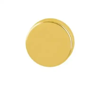 Click Here To Enlarge This Photo Of 42KS- (AR200/30)-GAA Hoppe Blank Escutcheon - Gold Anodised Aluminium (827206)