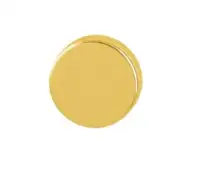 42KS- (AR200/30)-GAA Hoppe Blank Escutcheon - Gold Anodised Aluminium (827206)
