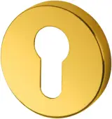 AR461/27 Hoppe Euro Profile Escutcheon - PVD Brass (87108565)