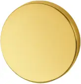 AR461/30 Hoppe Blank Escutcheon - PVD Brass (87108567)
