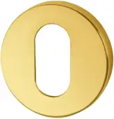 AR461/28 Hoppe Oval Profile Escutcheon - PVD Brass (87108566)
