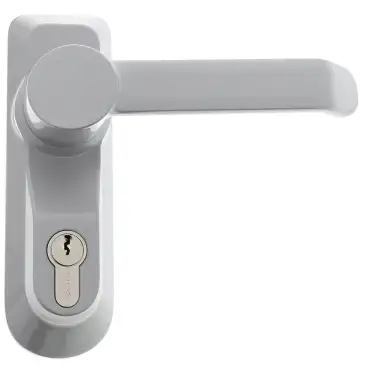 Click Here To Enlarge This Photo Of BRITON 1413.LE.SE Lever Operated Outside Access Device - Silver